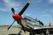 Collings Foundation P51 C